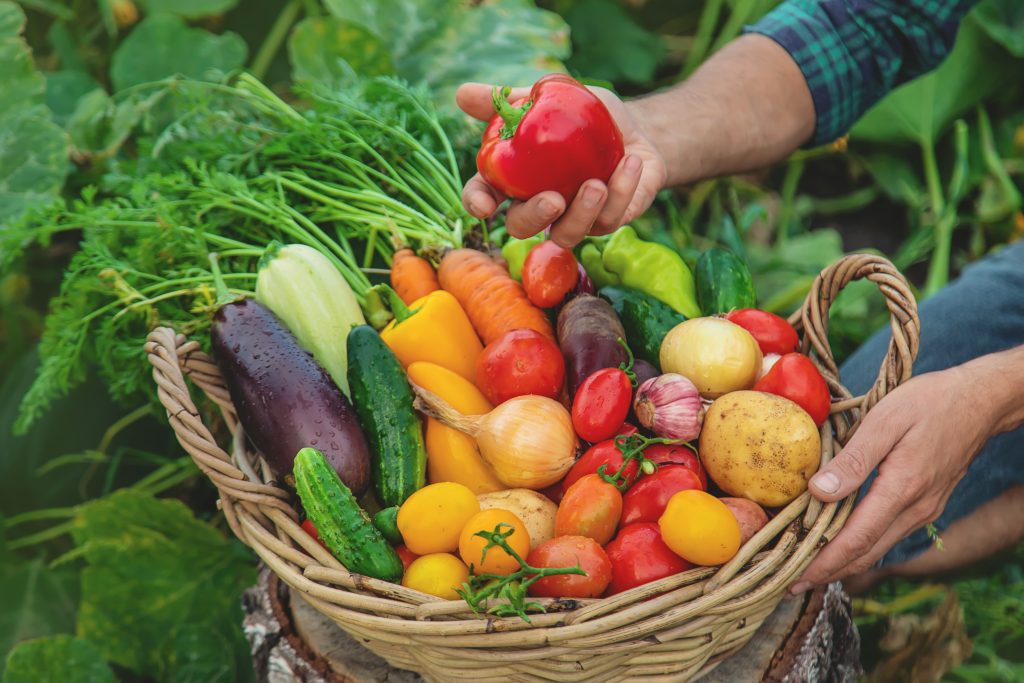 vegetables