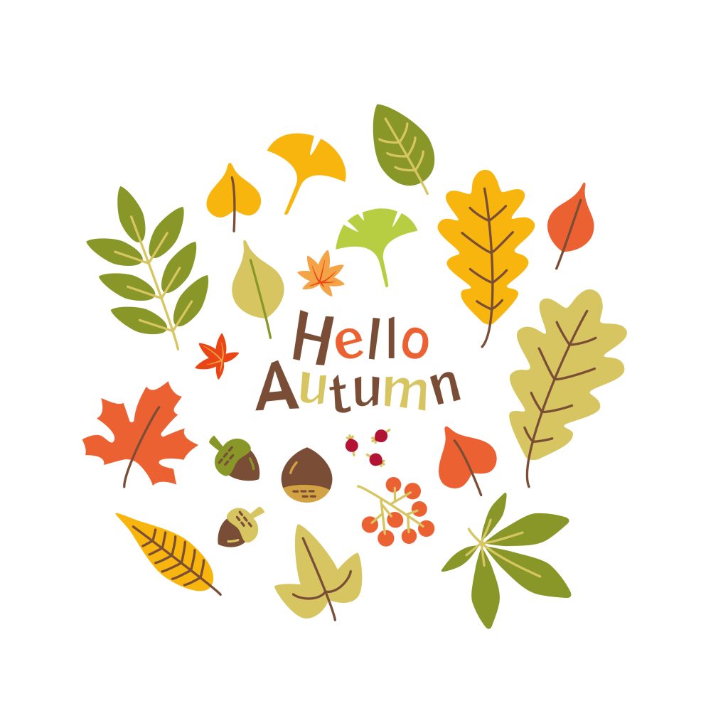 hello autumn